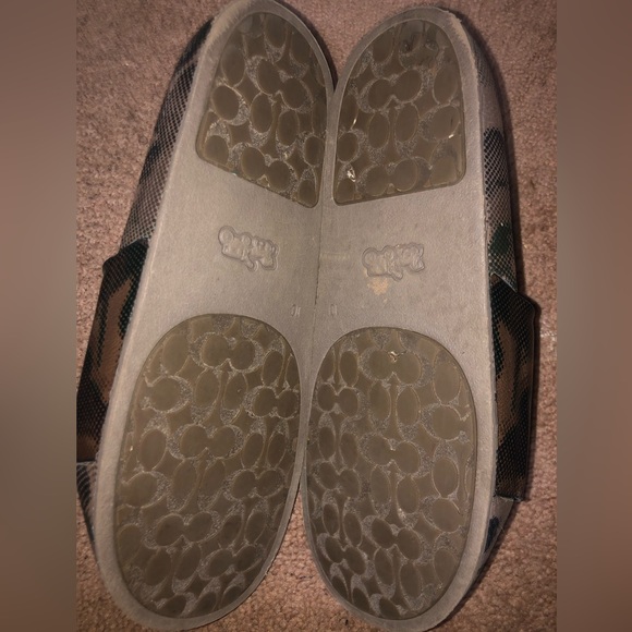 Coach Slide with Signature Rexy Pride edition - Picture 4 of 6